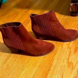 Dolce vita burgundy booties